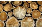 Защищаем деревянные изделия от внешних воздействий: общие советы